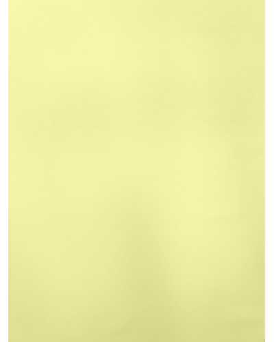 Lemon Sorbet