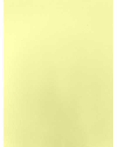Lemon Sorbet