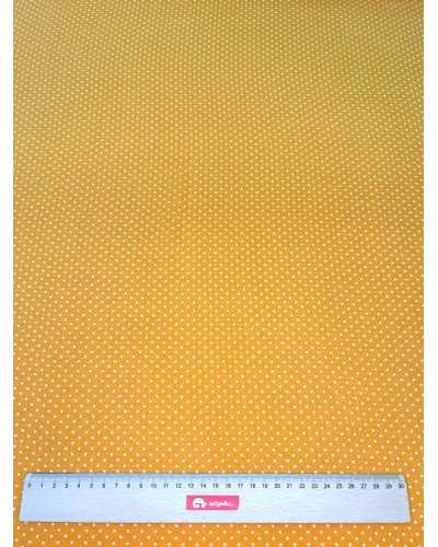 Sunshine Polka
