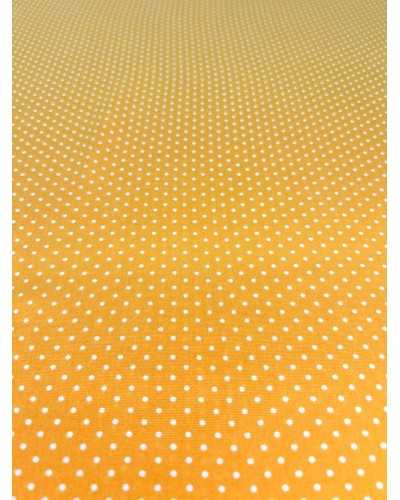 Sunshine Polka