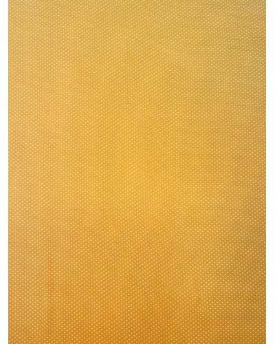 Sunshine Polka